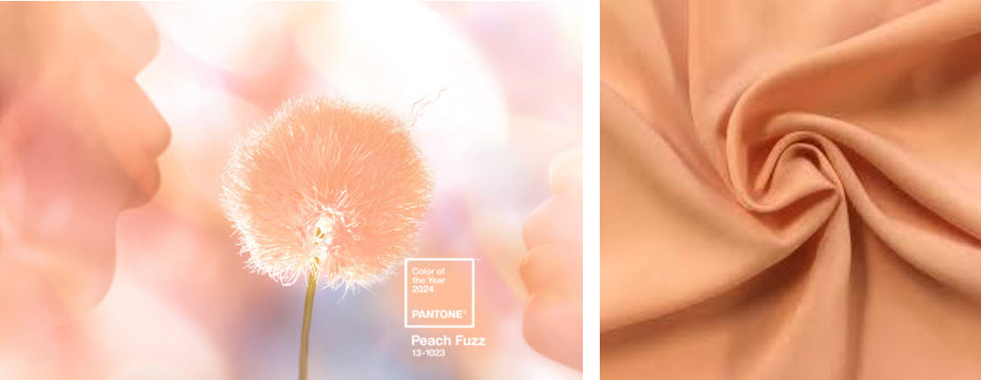 Pantone 13—1023 Peach Fuzz